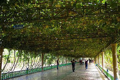 《怪物猎人：崛起》PC版与NS版对比 画面提升了？